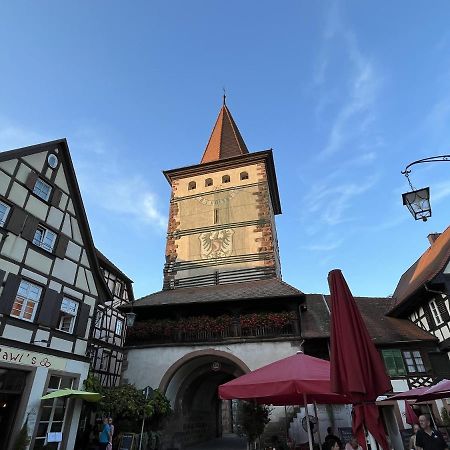 Coucou - Nest Im Schwarzwald Lägenhet Gengenbach Exteriör bild