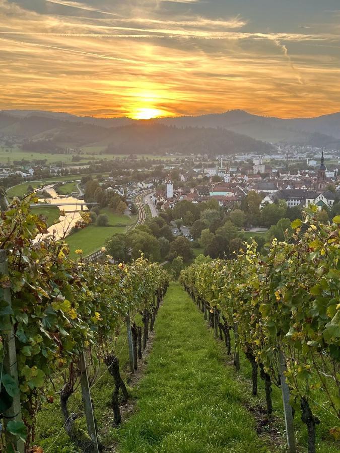 Coucou - Nest Im Schwarzwald Lägenhet Gengenbach Exteriör bild