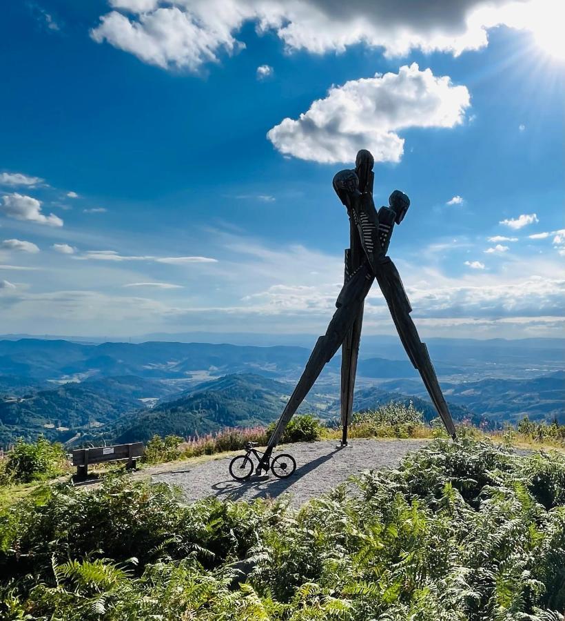 Coucou - Nest Im Schwarzwald Lägenhet Gengenbach Exteriör bild